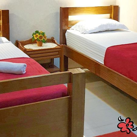 Maguwo Maple Tree Homestay מראה חיצוני תמונה